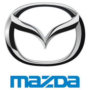 Фильтр воздушный Mazda - LF5013Z40A