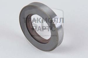 SEALING RING - PB-3100