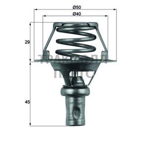 Термостат - TX 66 91D