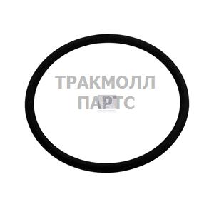 Уплотнительное кольцо круглого сечения - 1.17107