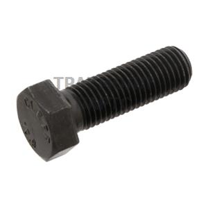 SCREW - 23519