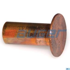 Brake Lining Rivets - 55624