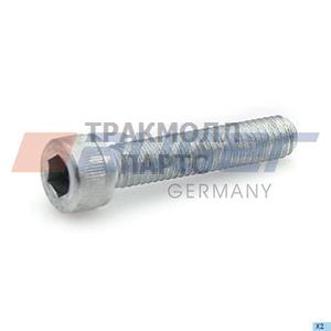 Бoлт SAUER ACHSEN M6x130 - 59284