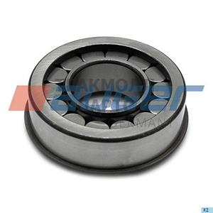 Bearing Differential Gear Housing - 74786