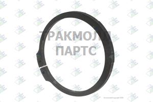 SEEGER RING T.310 MM - 60531794