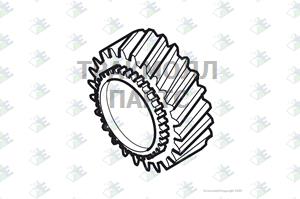 GEAR 6TH SPEED 23 T - 60532539