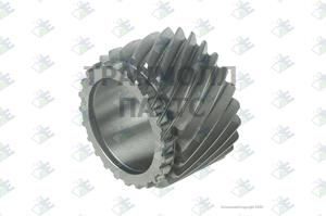 GEAR 6TH SPEED 24 T - 60532557