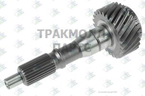 INPUT SHAFT 25 T - 60532564