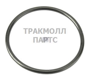 Уплотнительное кольцо круглого сечения - 1.17100