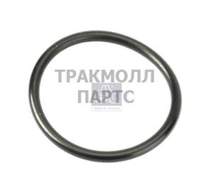 Уплотнительное кольцо круглого сечения - 1.18213