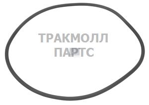 Уплотнительное кольцо круглого сечения - 3.10170