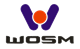 WOSM e134