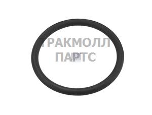 Уплотнительное кольцо круглого сечения - 6.22321
