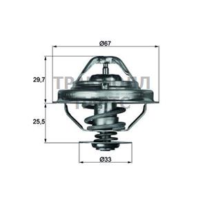 Термостат BMW - TX 38 80D