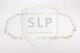 SLP epl843