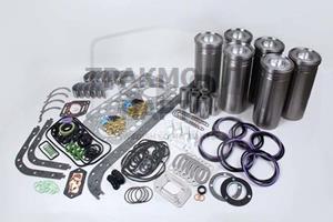 ENGINE REPAIR KIT - ERK-049