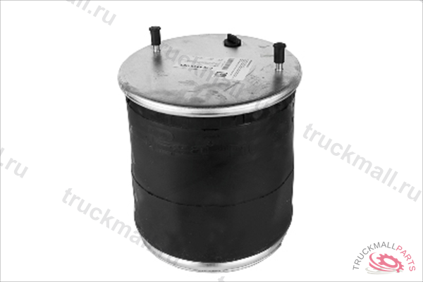 РЕССОРА ПОДВЕСКИ ЗАДНЯЯ - P10.4810.C05