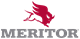 Meritor 21222239