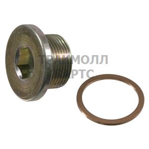 Oil Drain Plug - 21062