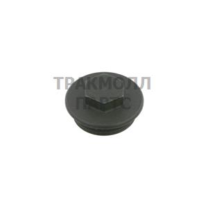 SCREW PLUG - 05880