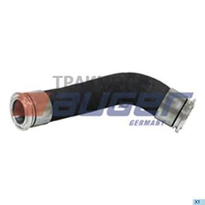 Hose Radiator - 56452