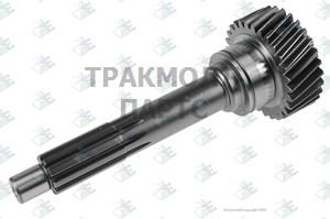 Input Shaft 29 T - 35.51.0198