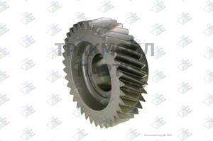 Шестерня постоянного зацепления 36 T. ZF 1324303007 - 95.53.4872