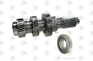 Countershaft 31/29/34/21/16 T - 60.53.2272