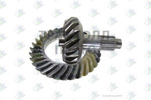 Crown  pinion 19x31 R.1163 - 30.17.0385