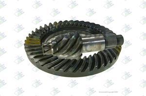 Crown  pinion 12x37 R.1307 - 81.17.1315