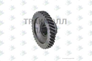 CONSTANT GEAR 37 T - 35510010