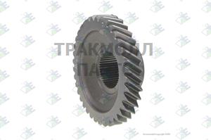 CONSTANT GEAR 37 T - 35510025