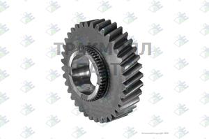 GEAR M/S 2ND SPEED 36 T - 35510063