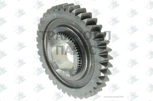 REVERSE GEAR 37 T - 35510070