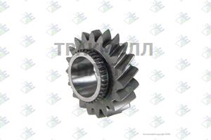 HELICAL GEAR M/S 4TH 19T - 35510080