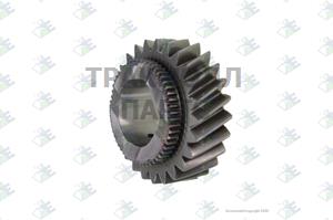 GEAR M/S 4TH SPEED 25 T - 35510092