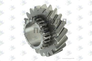 GEAR 4TH SPEED 19 T - 35510097