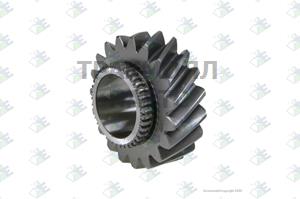 HELICAL GEAR M/S 4TH 19T - 35510112