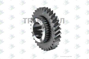 GEAR M/S 4TH SPEED 33 T - 35510115