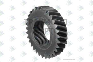 HELICAL GEAR M/S 3RD 31T - 35510166