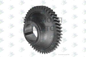 GEAR C/S 47 T - 35510370