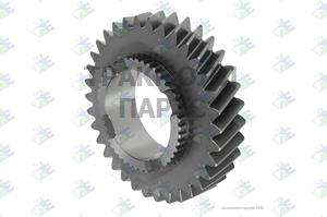 GEAR 2ND SPEED 34 T - 35510391