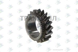 GEAR 4TH SPEED 19 T - 60530375