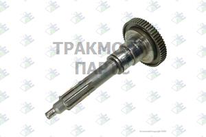 INPUT SHAFT 60 T - 60530482