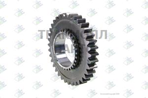 GEAR LOW SPEED 36 T - 60530565