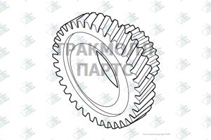 GEAR 4TH SPEED 24 T - 60530578