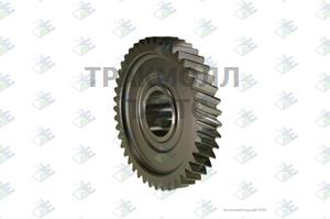 CONSTANT GEAR 43 T - 60530637