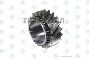 GEAR 6TH SPEED 19 T - 60530859