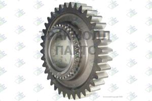 REVERSE GEAR 36 T - 60530955