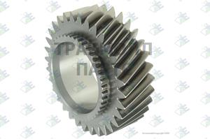 CONSTANT GEAR 32 T - 60532042